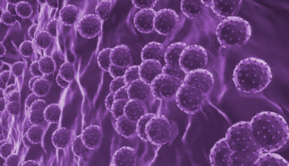 Hepatitis virus microscop view