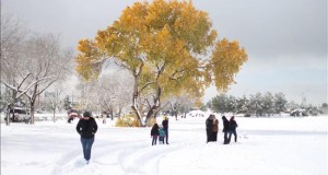 Nevada deja incomunicados por tierra a Chihuahua y Sonora, en norte de México
Vista general de zonas nevadas en el estado de Chihuahua (México).