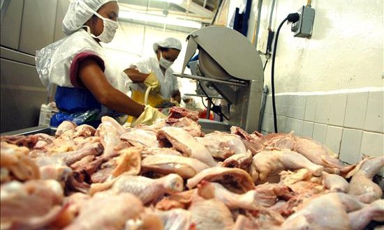 Denuncian condición de trabajo en plantas procesadoras de aves en Arkansas
El Centro de Justicia Laboral del Noroeste de Arkansas (NWAWJC) y el Comité Unitario Universalista de Servicios (UUSC), junto con numerosas otras organizaciones comunitarias y religiosas, solicitaron la ayuda de expertos de la Universidad de California para entrevistar a unos 500 trabajadores hispanos, afroamericanos y de las islas del Pacífico para determinar la veracidad de las múltiples quejas por ellos presentadas