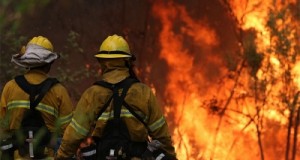 503800_incendio-california