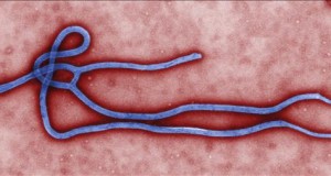 ebola peru