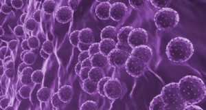 Hepatitis virus microscop view