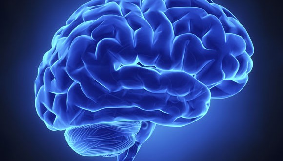 Cerebro-azul