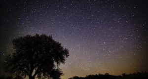 Descubierta una estrella casi tres veces más antigua que el Sol
El descubrimiento "abre la posibilidad a la existencia de vida antigua en la galaxia", según los científicos de las universidades de Birmingham (Reino Unido), Iowa (EE.UU.) y Sidney (Australia) autores del descubrimiento.