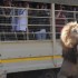 Un león mata a una turista estadounidense en un parque natural sudafricano
Los jugadores de la selección alemana toman fotografías de un león durante una visita al Lion Park de Lanseria, cerca de Pretoria (Sudáfrica).