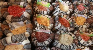 Expertos piden que Perú sea preservado como potencia en alimentos ecológicos
Variedades de quinua se exhiben en la feria gastronómica Mistura en Lima (Perú).