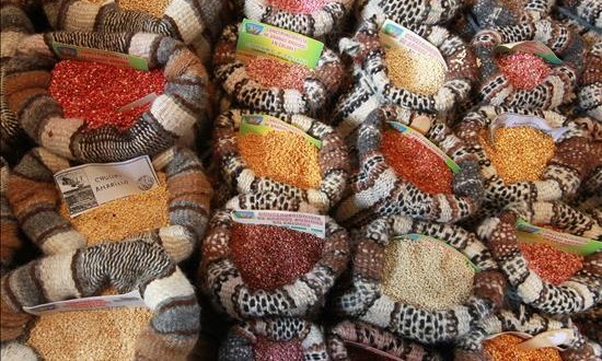 Expertos piden que Perú sea preservado como potencia en alimentos ecológicos
Variedades de quinua se exhiben en la feria gastronómica Mistura en Lima (Perú).
