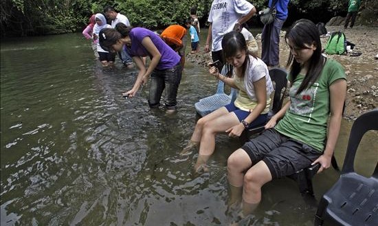 Unas 190 personas pasarán la noche atrapadas en monte por temblor en Malasia
Unos turistas se refrescan los pies en una laguna del parque natural del Kinabalu, en Malasia.
