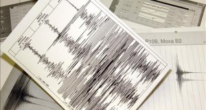 El epicentro del sismo fue ubicado a 12 kilómetros del distrito de San Vicente de Cañete y alcanzó III grados de intensidad en la escala de Mercalli y II en la ciudad de Pisco, en la vecina región de Ica, según el reporte del Instituto Geofísico del Perú (IGP).