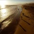 Nuevo ataque de tiburón en las costas de Carolina del Norte
Un nuevo ataque de tiburón se registró este fin de semana en las playas de Carolina del Norte, en la costa sureste de Estados Unidos, donde ya se cuentan hasta ocho incidentes de este tipo, según informaron hoy medios locales.