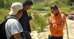 Inmigrantes cometen menos crímenes que los nacidos en EEUU, según informe 
Ciudadanos mexicanos que pretender cruzar la frontera por el desierto para internarse en Estados Unidos y buscar mejores condiciones de vida.