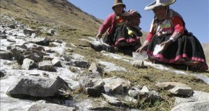 Temporada de heladas deja 6 muertos y más de 150.000 afectados en sur de Perú
De acuerdo con el reporte de Indeci, las regiones más afectadas por la temporada de frío son Arequipa, Huancavelica, Cuzco, Junín, Pasco, Puno y Apurímac. EFE/Archivo
