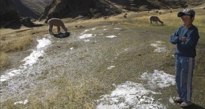 Perú declara el estado de emergencia durante 45 días por heladas en 10 regiones
Un niño y su ganado de alpacas en la comunidad altoandina de Ausangate, en la provincia de Canchis, Cuzco, a mas de 4500 metros sobre el nivel del mar, soporta las bajas temperaturas que padece la sierra de Perú.