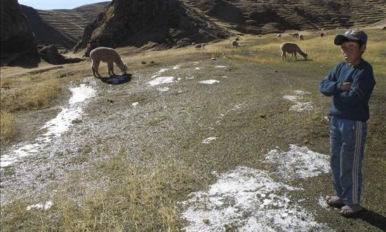 Perú declara el estado de emergencia durante 45 días por heladas en 10 regiones
Un niño y su ganado de alpacas en la comunidad altoandina de Ausangate, en la provincia de Canchis, Cuzco, a mas de 4500 metros sobre el nivel del mar, soporta las bajas temperaturas que padece la sierra de Perú.