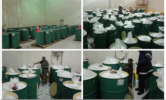 Detectan cocaína diluida en recipientes de pulpa de fruta en México
Combo de cuatro fotografías proporcionado hoy, lunes 27 de julio de 2015, por el Servicio de Administración Tributaria (SAT) que muestra a federales mexicanos inspeccionando barriles con pulpa de mora mezclados con cocaína, en el puerto de Manzanillo, estado de Colima, informó SAT.