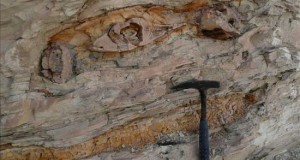 Autoridades peruanas incautaron 156 fósiles a turista en un puesto fronterizo
Personal de Aduanas y del Ministerio de Cultura en ese complejo verificaron que los bienes recuperados eran fósiles de ammonites, erizos, bivalvos, entre otros especímenes, tallados y pulidos. En la imagen el registro de otro hallazgo arqueológico en Perú.