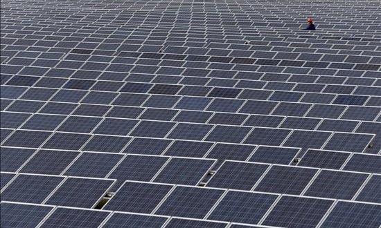 La nipona Sojitz compra el 49 % de las operaciones de T-Solar en Perú
Un técnico examina una planta fotovoltaica.