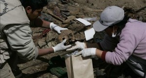 La Fiscalía encuentra fosas con los restos de 60 personas en el sur de Perú
De acuerdo a la investigación fiscal, las muertes ocurrieron en enero de 1985 en el paraje conocido como Estaca Parada, distante tres horas por carretera del Centro Poblado de Oronccoy, distrito de Chungui, en la provincia de La Mar.