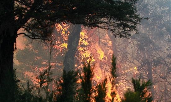 Un muerto y tres heridos deja un incendio forestal en los Andes centrales de Perú
Dos brigadas tratan de extinguir el fuego en frentes diferentes mientras los habitantes de la zona construyen zanjas para impedir el avance de las llamas