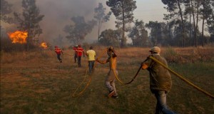 Extinguen un incendio forestal que afectó unas 1.500 hectáreas en los Andes en Perú
El incendio se registró el jueves alrededor de las 21.00 hora local (02.00 GMT del viernes) a la altura del kilómetro 348 de la carretera Alto Chupampa (Perú).