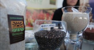 La quinua peruana llega a Alemania en hamburguesas vegetarianas de McDonald's
La cadena de comida rápida lanzó recientemente su hamburguesa vegetariana, llamada Veggie Clubhouse, y en un video promocional resalta las cualidades nutricionales y el origen ancestral de la quinua, conocida en Alemania como arroz inca.