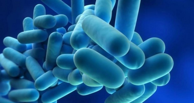 Cuatro-personas-mueren-por-enfermedad-del-legionario-en-EEUU-1440x900_c