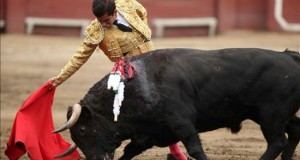 Talavante y Adame triunfan en la primera corrida de la feria de Lima
El matador mexicano Joselito Adame se presenta durante la 70 edición de la tradicional Feria Taurina del Señor de los Milagros en la plaza de toros de Acho en Lima (Perú).
