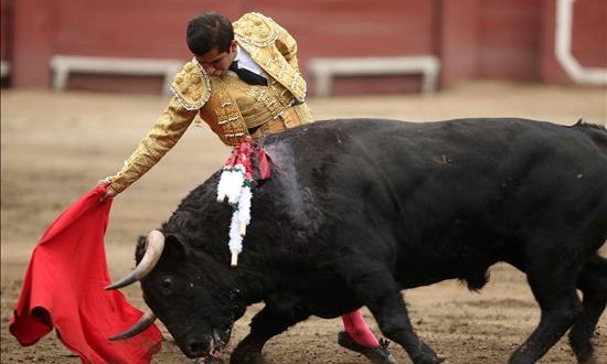 Talavante y Adame triunfan en la primera corrida de la feria de Lima
El matador mexicano Joselito Adame se presenta durante la 70 edición de la tradicional Feria Taurina del Señor de los Milagros en la plaza de toros de Acho en Lima (Perú).