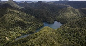 Perú crea una de las mayores reservas naturales del mundo
Fotografía sin fechar cedida este 8 de noviembre de 2015, del Parque Nacional Sierra del Divisor ubicado entre las regiones de Ucayali y Loreto en Perú.
