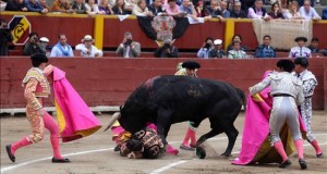 Paco Ureña corta oreja en la segunda corrida de la Feria de Lima
Uno de los toros de la tarde embiste a uno de los banderilleros durante la segunda corrida de la Feria del Señor de los Milagros en la plaza de Acho en Lima (Perú).
