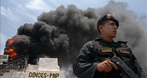 Incineran dos hectáreas de plantaciones de marihuana en el centro de Perú
Agentes policiales de la comisaría del municipio Huacrachuco, en la región andina de Huánuco, hallaron las plantaciones ilegales en el centro poblado de Piso, a unos 500 kilómetros al norte de Lima.