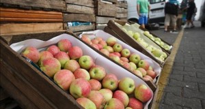 Materias primas, principales afectadas en A.Latina por alza de tipos en EEUU
Vista de un cargamento de manzanas en el Mercado Agro-Alimentario.