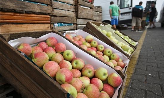 Materias primas, principales afectadas en A.Latina por alza de tipos en EEUU
Vista de un cargamento de manzanas en el Mercado Agro-Alimentario.