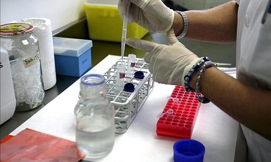 La revista Science declara la edición genética como el descubrimiento del año
Science también apuntó a la eliminación mediante CRISPR de 62 copias de ADN de un retrovirus en el genoma del cerdo, un movimiento que "abre el camino a que se consideren órganos de cerdo para trasplantarlos a humanos que esperan una donación".