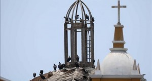 Los buitres revelan la acumulación de basura de Lima
Gallinazos se posan sobre la cúpula derruida de la iglesia de La Ermita hoy, 15 de enero de 2016, en el tradicional barrio de Barranco, en Lima (Perú).