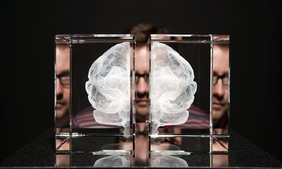 Alta dosis de cocaína provoca autodestrucción neuronal, según estudio
Representación de un cerebro humano.