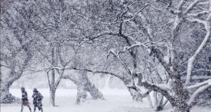 Washington y el este de país en alerta al aproximarse una tormenta de nieve
Unas personas caminan bajo una intensa nevada en los alrededores del Capitolio en Washington DC, Estados Unidos.