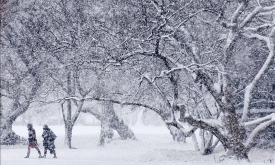 Washington y el este de país en alerta al aproximarse una tormenta de nieve
Unas personas caminan bajo una intensa nevada en los alrededores del Capitolio en Washington DC, Estados Unidos.