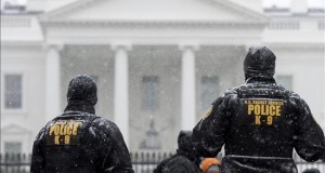 Obama declara situación de desastre en Alabama por el temporal de invierno
Dos agentes del Servicio Secreto División K-9 observan la nieve que cae sobre la Avenida Pennsylvania, en Washington.