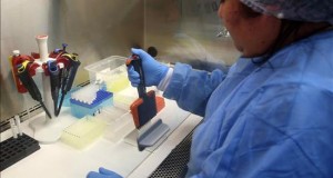 Un adolescente venezolano es el primer caso de zika en Perú
Un médico del laboratorio de Metaxénicas virales del Ministerio de Salud de Perú trabaja hoy, viernes 29 de enero de 2016, con muestras para verificar la infección por fiebre amarilla, en Lima (Perú).