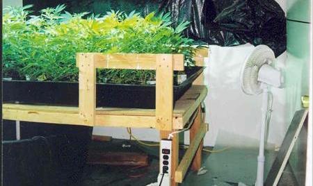 Excesivo uso de electricidad conduce a descubrimiento de droga en Colorado
El excesivo uso de electricidad por parte de un hispano en su vivienda de una pequeña localidad en el sur de Colorado llevó a las autoridades federales a detectar operaciones de tráfico ilegal de drogas.