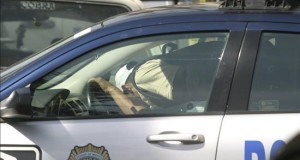 La impunidad en México alcanza el 99 % de los delitos, denuncia un estudio
Apenas 4,46 % de los delitos cometidos en México terminan con una sentencia condenatoria, proporción que disminuye a 1 % si se tienen en cuenta los delitos no denunciados ante las autoridades, asegura un estudio presentado hoy por la Universidad de las Américas Puebla (UDLAP).