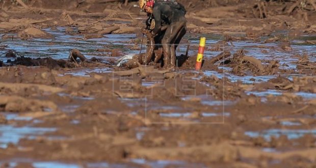 Los bomberos reanudaron este lunes la búsqueda de las 305 personas que, según la Defensa Civil, permanecen desaparecidas tras la rotura de una de una presa en un complejo minero de la compañía Vale en la ciudad de Brumadinho, al sudeste de Brasil. EFE