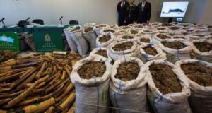 Turistas disfrutando del sol y de la playa de Benidorm. EFE/Archivo