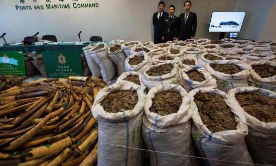 Turistas disfrutando del sol y de la playa de Benidorm. EFE/Archivo