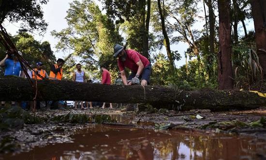 Bomberos y voluntarios cortaban las semana pasada los árboles derrumbados, tras la ruptura de un dique de una represa del gigante minero Val, , en Brumadinho (Brasil). EFE/Archivo