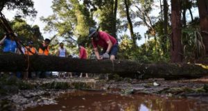Bomberos y voluntarios cortan los árboles derrumbados, tras la ruptura de un dique de una represa del gigante minero Val, en Brumadinho (Brasil). EFE/Archivo