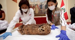 La momia de un niño de origen aimara, con una antigüedad aproximada de 2.000 años, fue devuelta a Perú por el Museo de Ciencia e Historia de Corpus Christi en Texas (Estados Unidos), informaron este viernes fuentes oficiales.