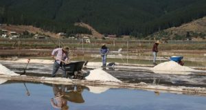 Fotografía del 11 de enero de 2019, cedida por Innova Difusión, que muestra a salineros mientras trabajan en las piscinas de sal, cerca de la localidad de Cáhuil, en la región central de O'Higgins (Chile). EFE/Innova Difusión