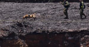 Personas realizan labores de búsqueda y rescate en Brumandinho (Brasil). EFE/Archivo